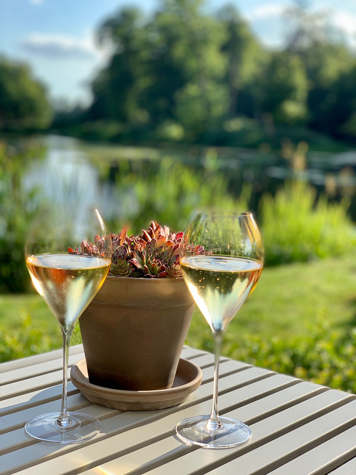 Twee glazen champagne buiten op een tafel op het terras van restaurant Voltaire