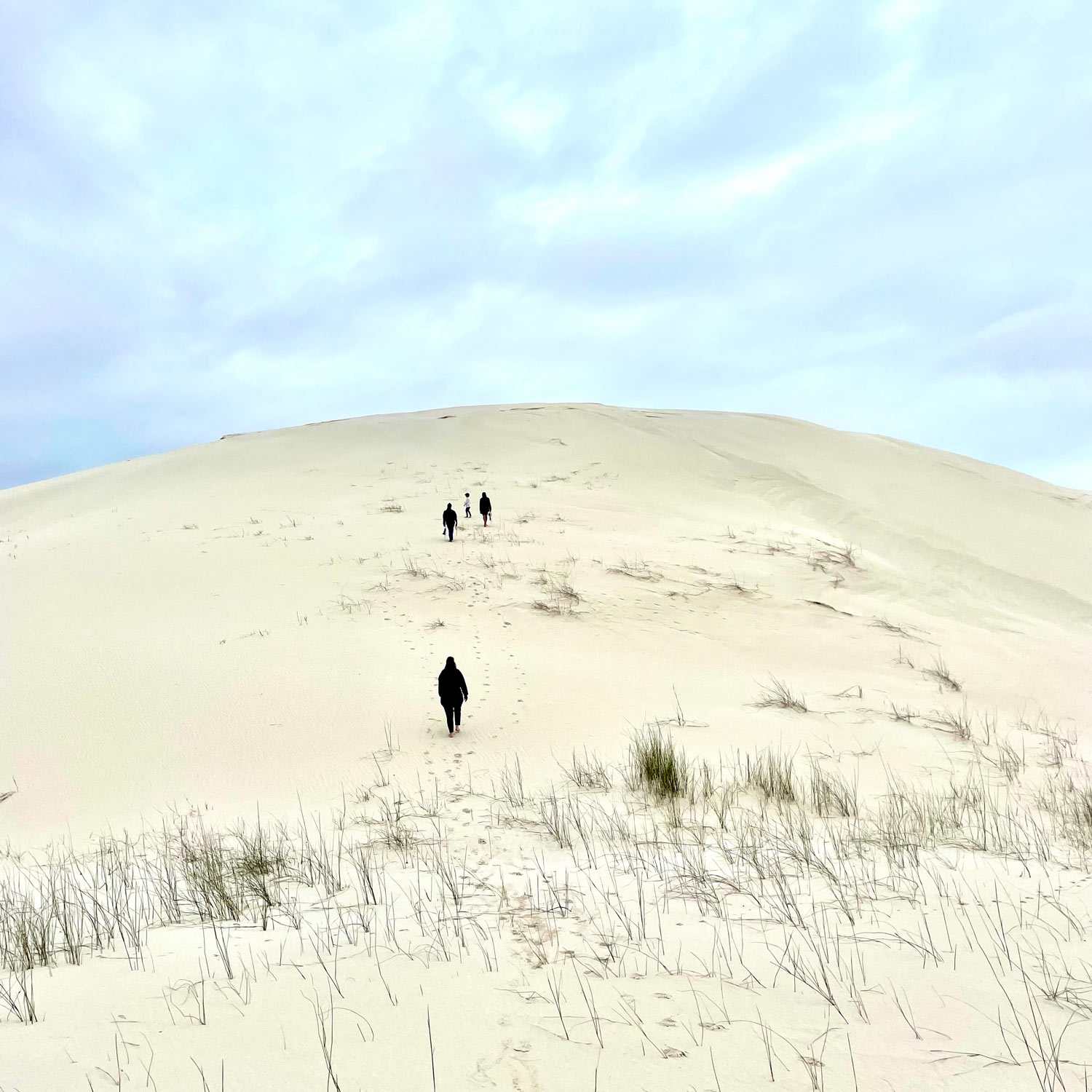 Grote zandduinen in de Hoop nature reserve met daarop wandelende mensen