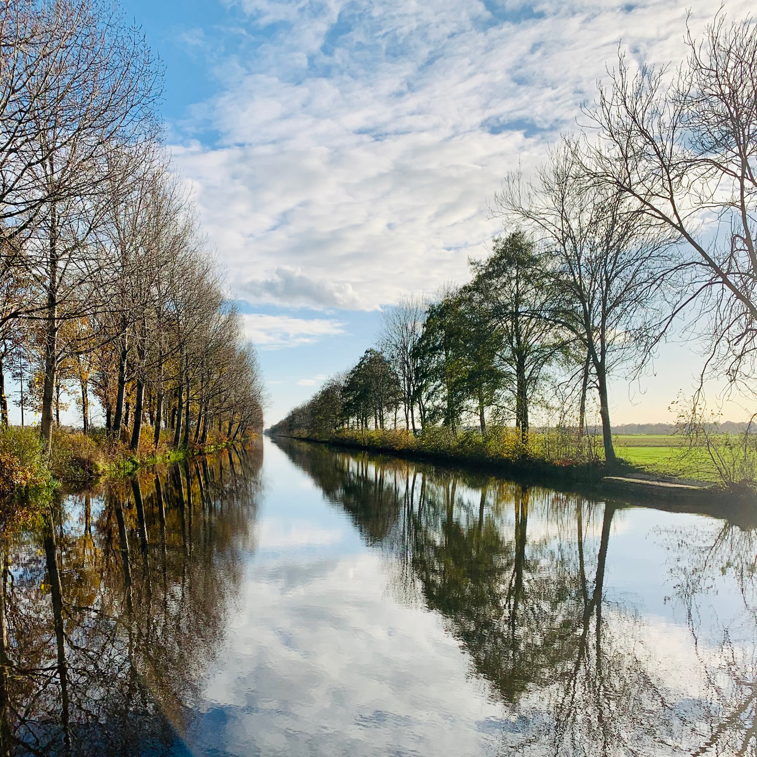 Uitzicht over een water met aan beide kanten kale winterbomen in Vriezenveen