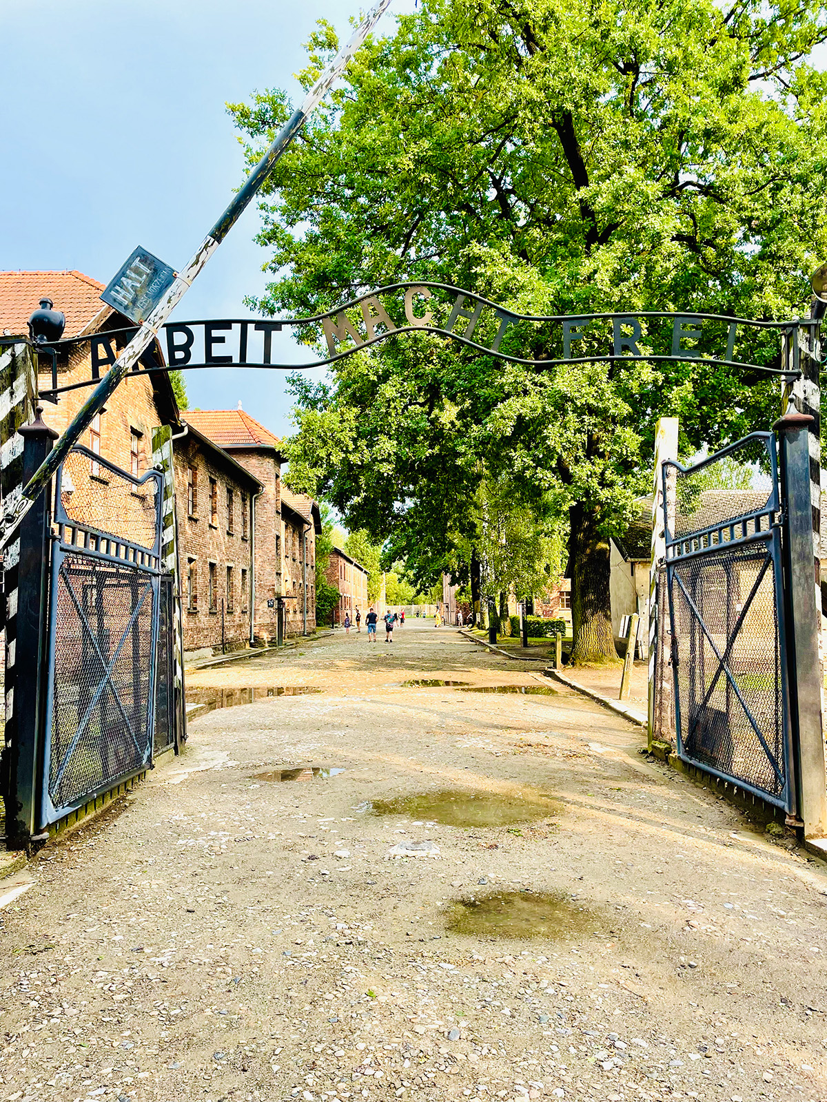 Auschwitz een van de highlights in Krakau