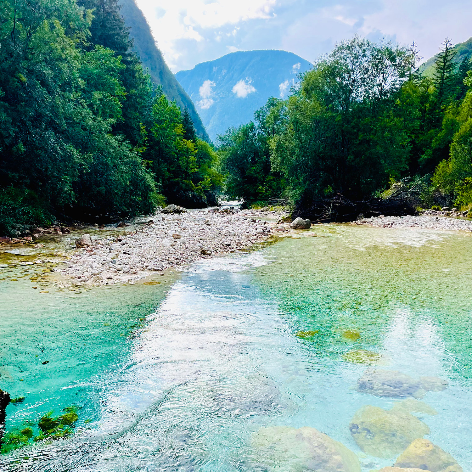 Het kraakheldere water van de sofa rivier in Slovenië