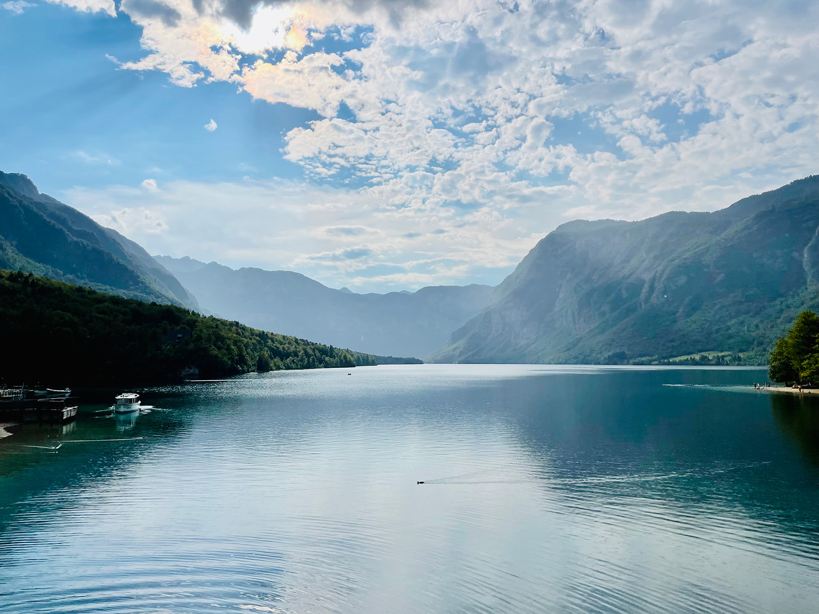 uitzicht over het meer van Bohinj met de Julische Alpen op de achtergrond