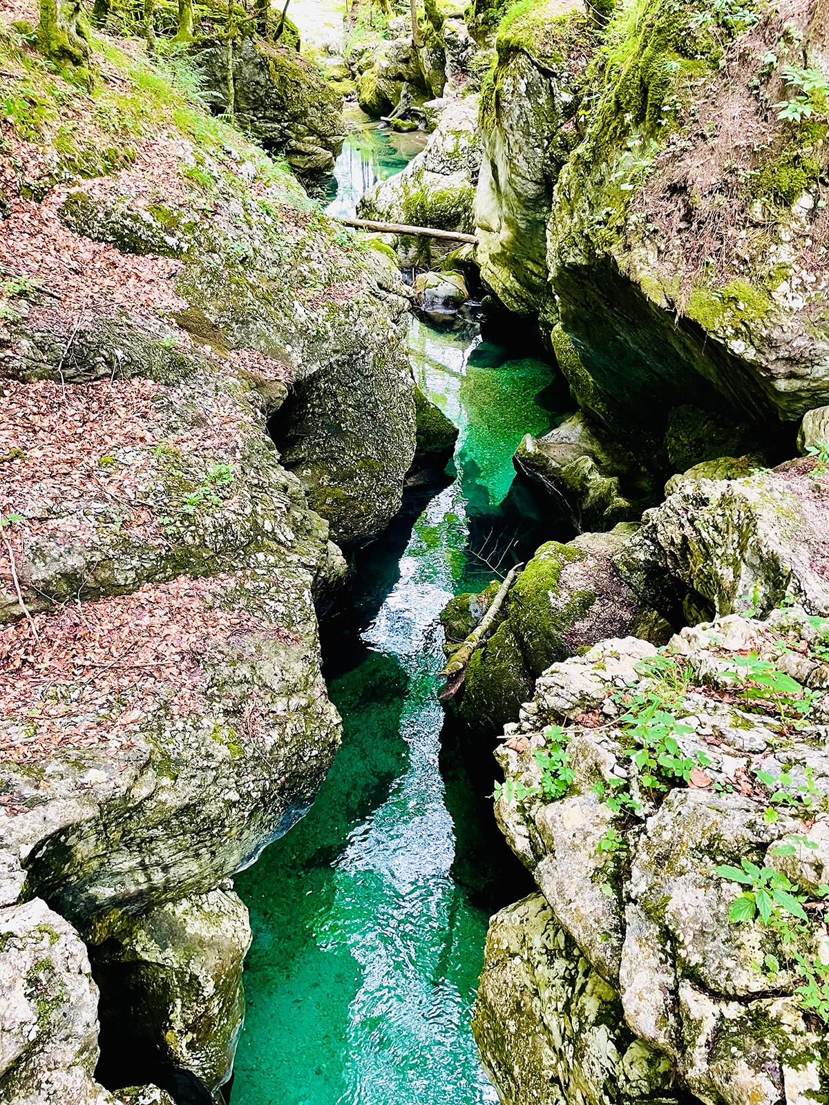 De Mostnica kloof een highlight bij het meer van Bohinj