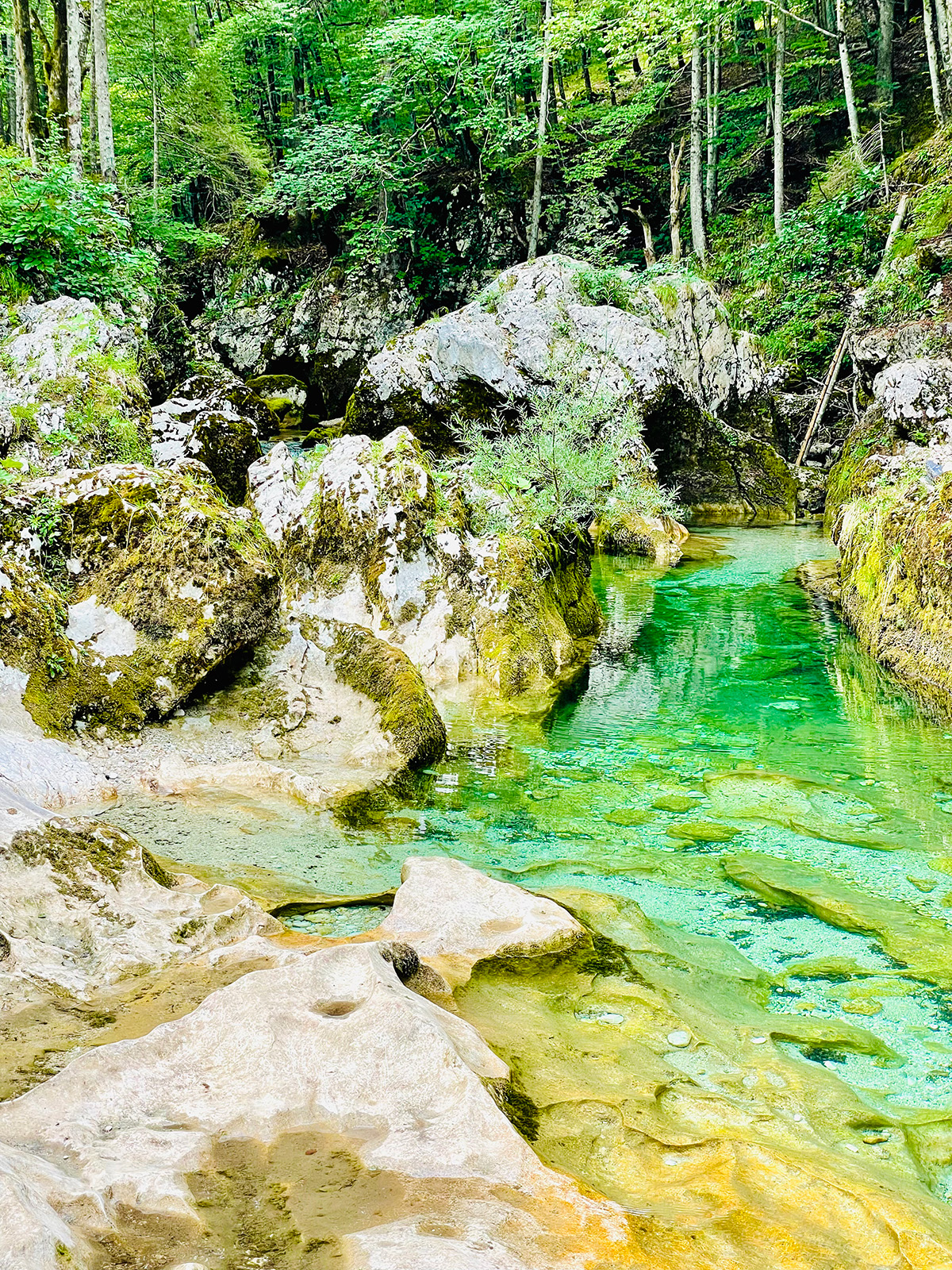 Het kraakheldere water van de Mostnica kloof