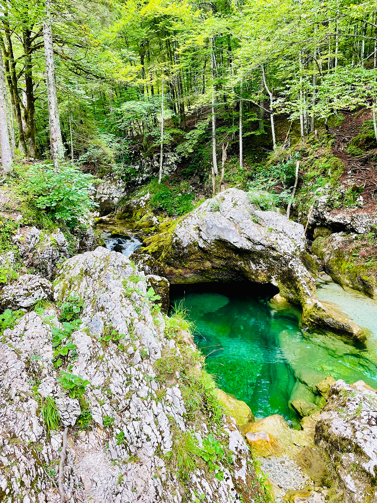 De Mostnica kloof vlakbij het meer van Bohinj